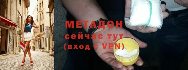 шишки Верея