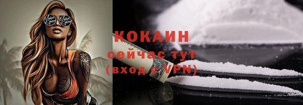 шишки Верея