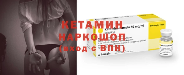 шишки Верея