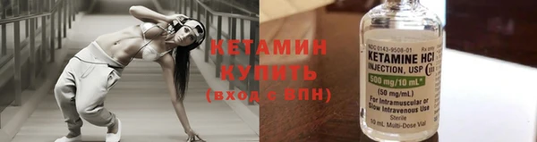 шишки Верея