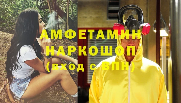 шишки Верея