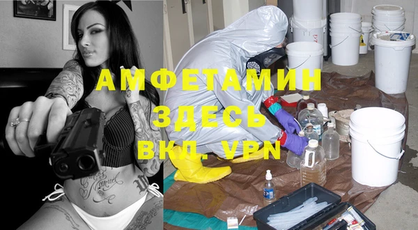 шишки Верея