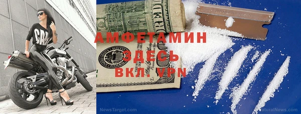 шишки Верея