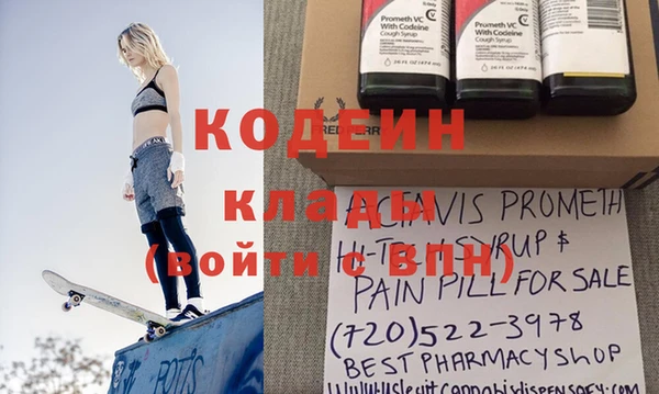 шишки Верея