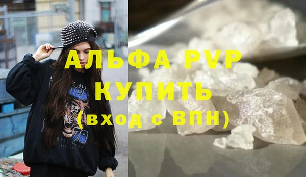 шишки Верея