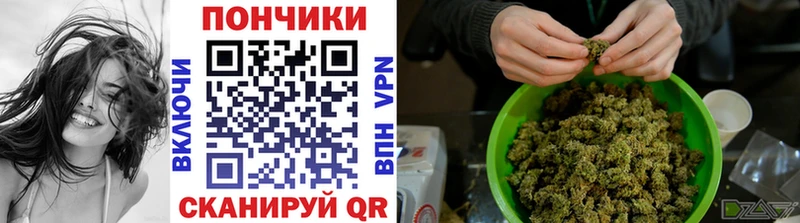 Шишки марихуана Amnesia  купить  сайты  Чебоксары 